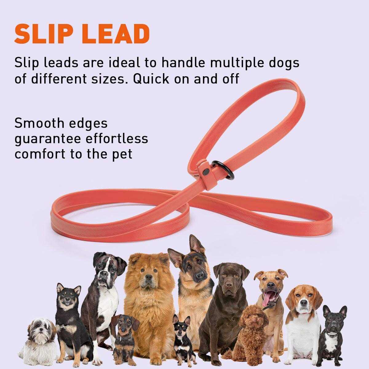 Biothane Slip Dog Leash X40280