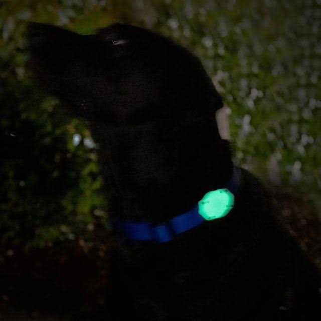 Waterproof AirTag Dog Collar Mount T960