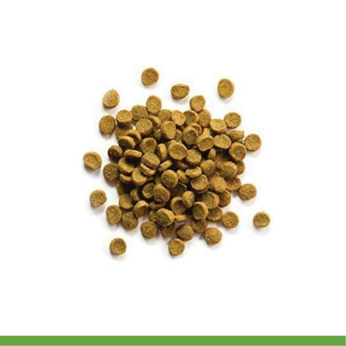 Ferret Diet G545