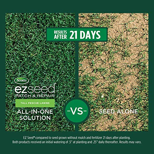 Grass Seed, Fertilizer, and Soil Improver for Tall Fescue, 4,000 sq. ft., 40 lbs. B124