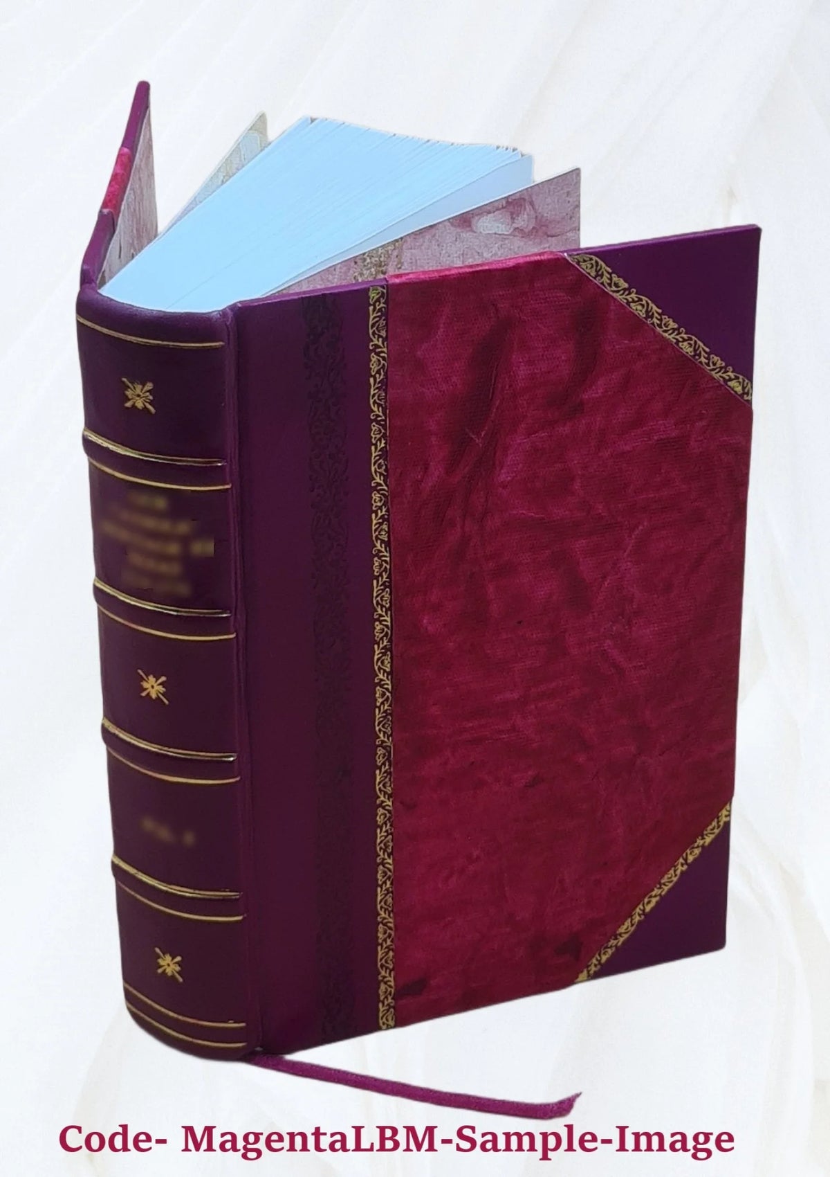 Leather Bound Book N75536