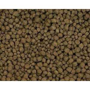 Fish Food C95684