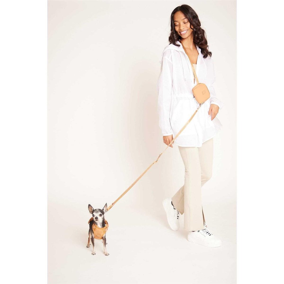 Hands Free Leash B58603
