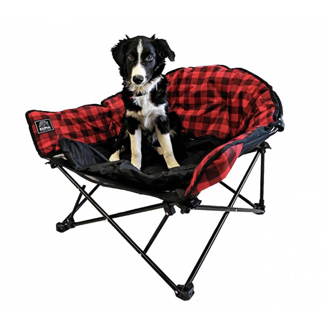Lazy Bear Dog Bed W564