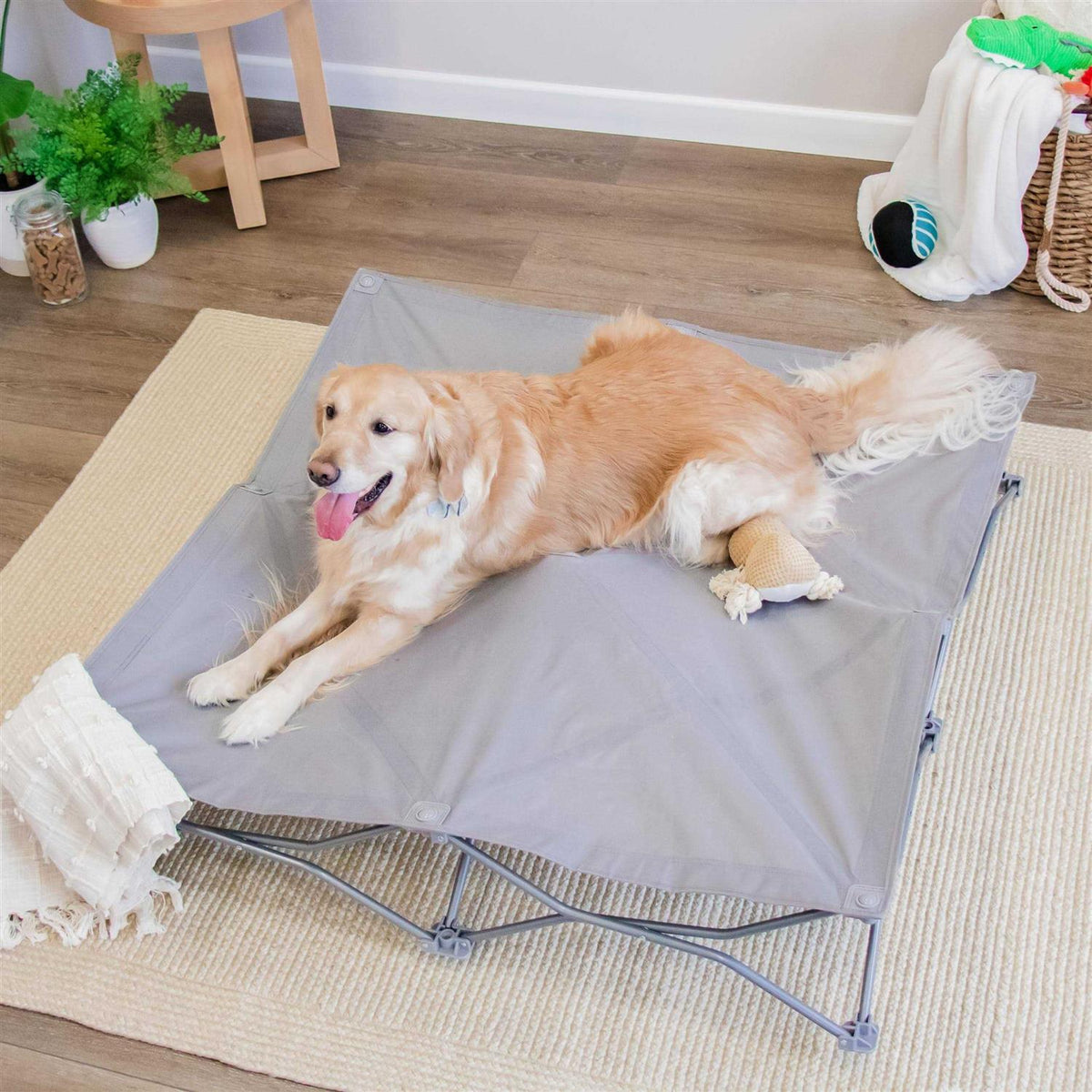 Portable Pet Bed H263707