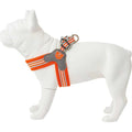 Dog Harness J54081