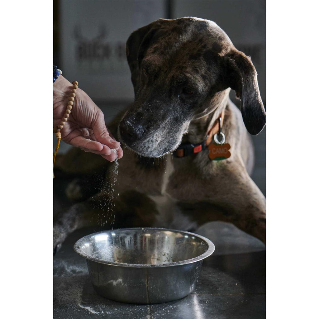 Ground Wild Elk and Deer Antler Powder for Dogs E946037