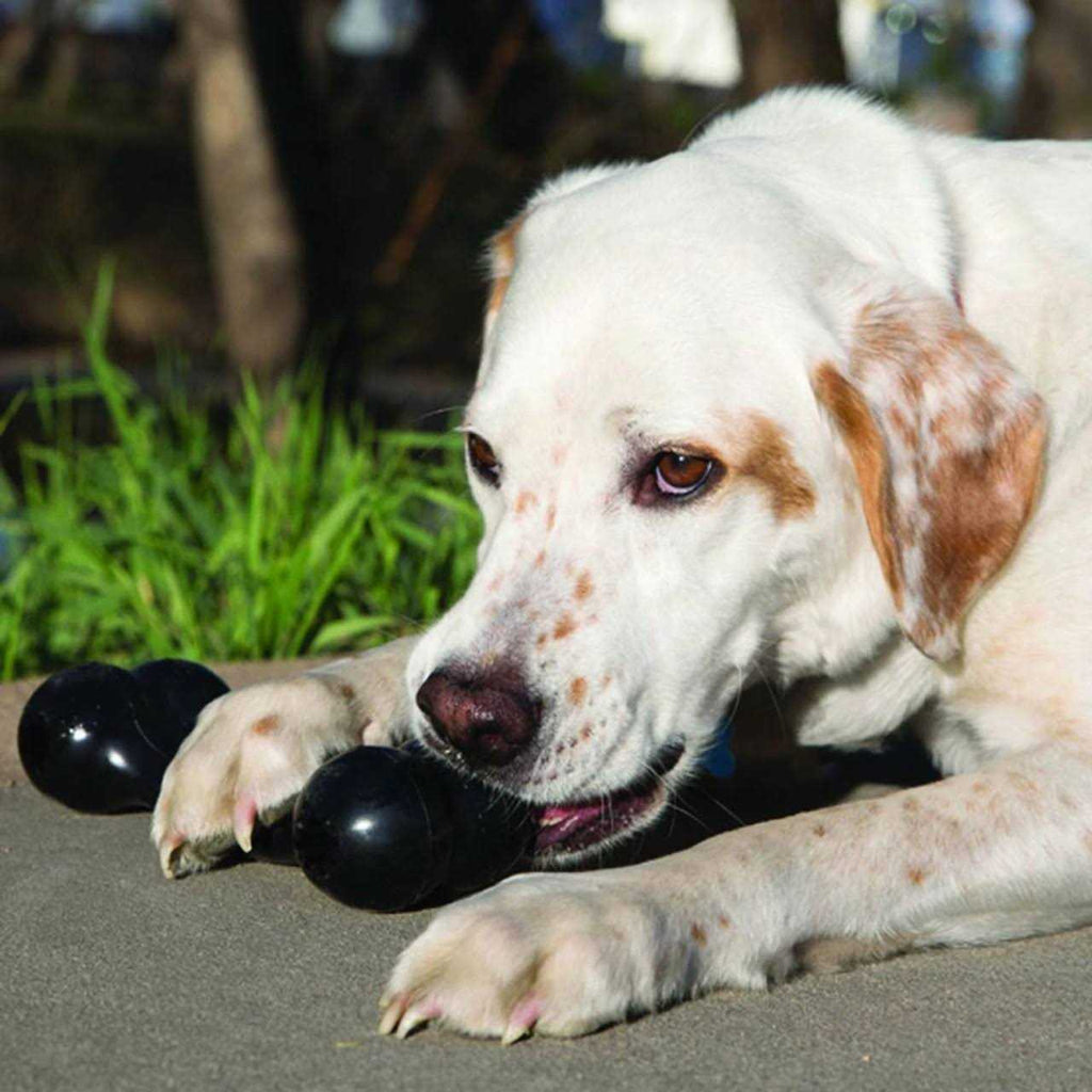 Dog Toy Bone B360