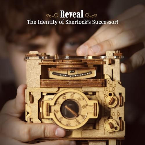 3D Wooden Sequential Puzzle Box O785324
