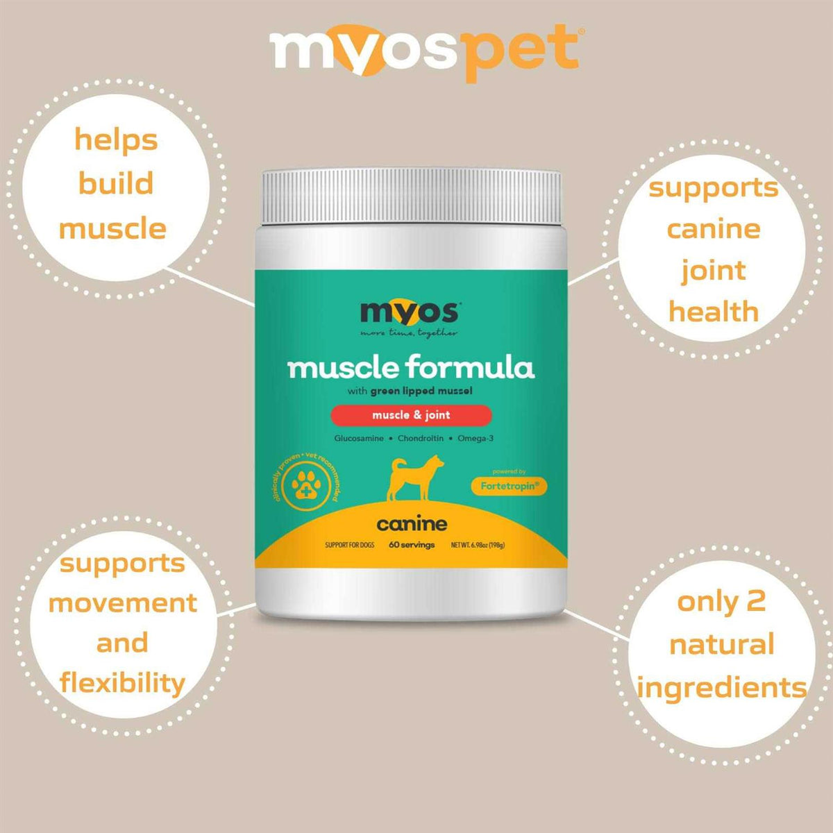 Canine Muscle & Joint Formula with Green Lipped Mussel Powder Dog Supplement B651