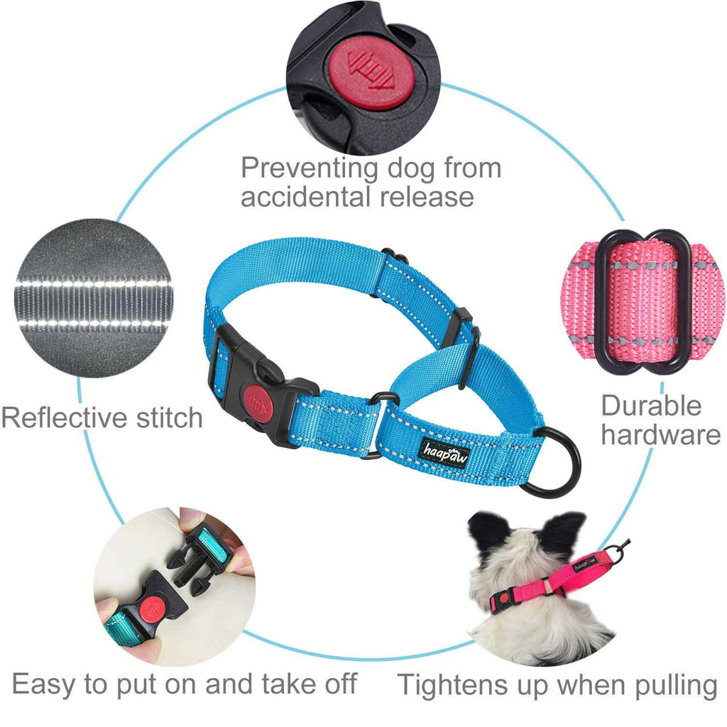 2 Packs Martingale Dog Collar with Quick Release Buckle Reflective Dog Training Collars F23797