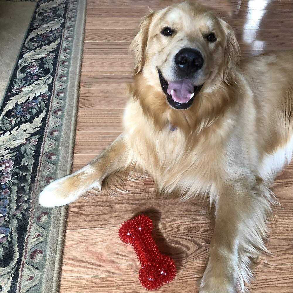 Squeaker Bone Dog Toy A7924