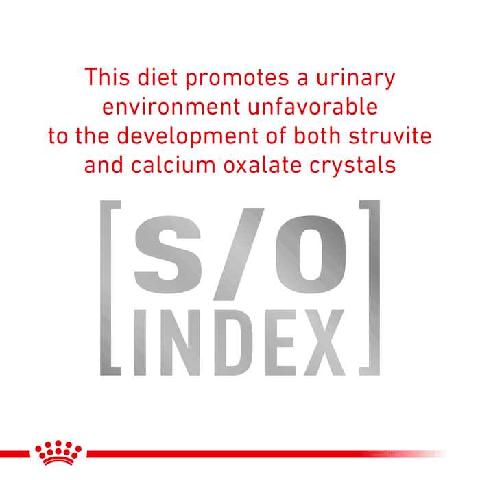 Veterinary Diet Urinary SO Thin Slices in Gravy Canned Dog Food N594