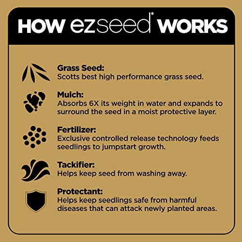 Grass Seed, Fertilizer, and Soil Improver for Tall Fescue, 4,000 sq. ft., 40 lbs. B124