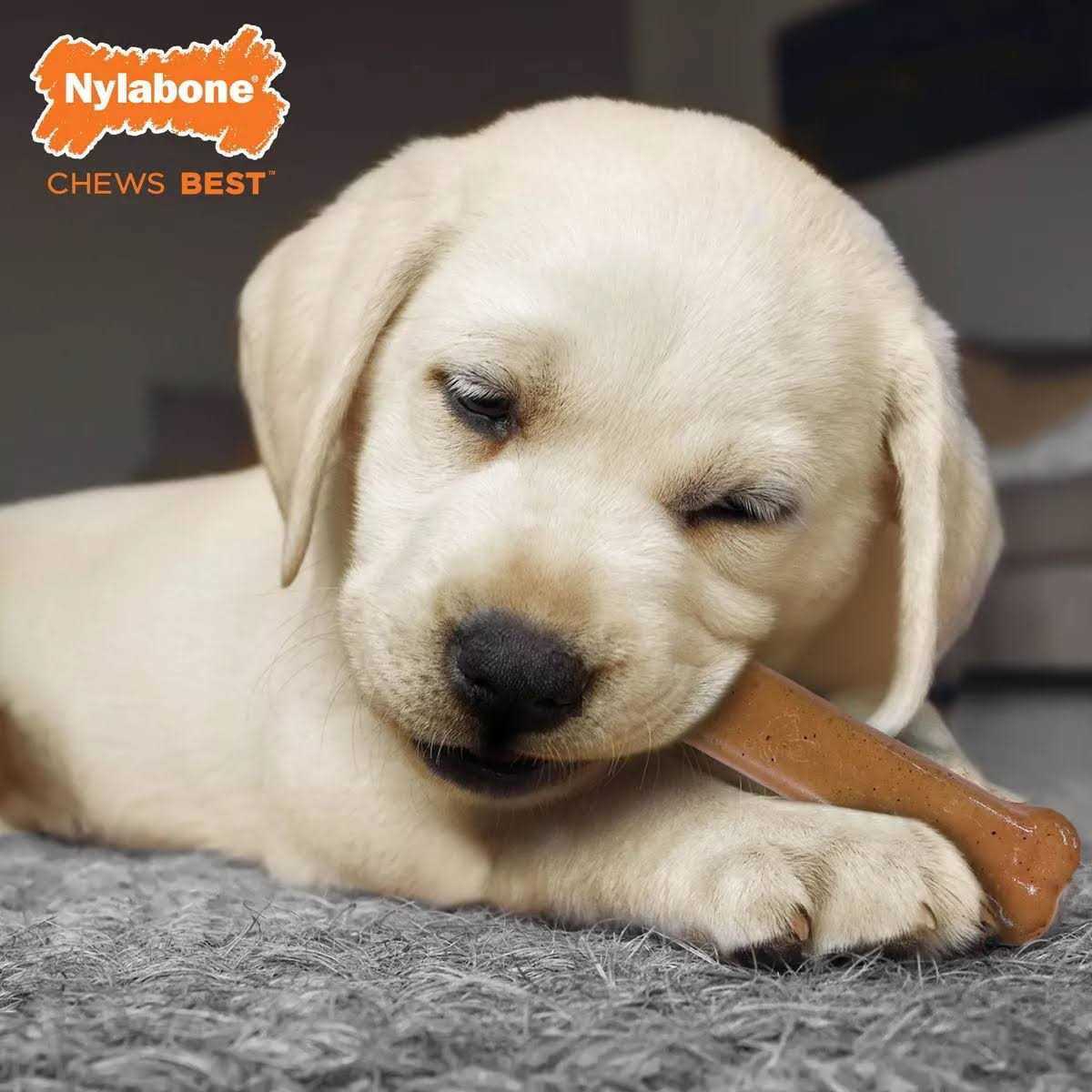 Puppy Starter Kit S83009