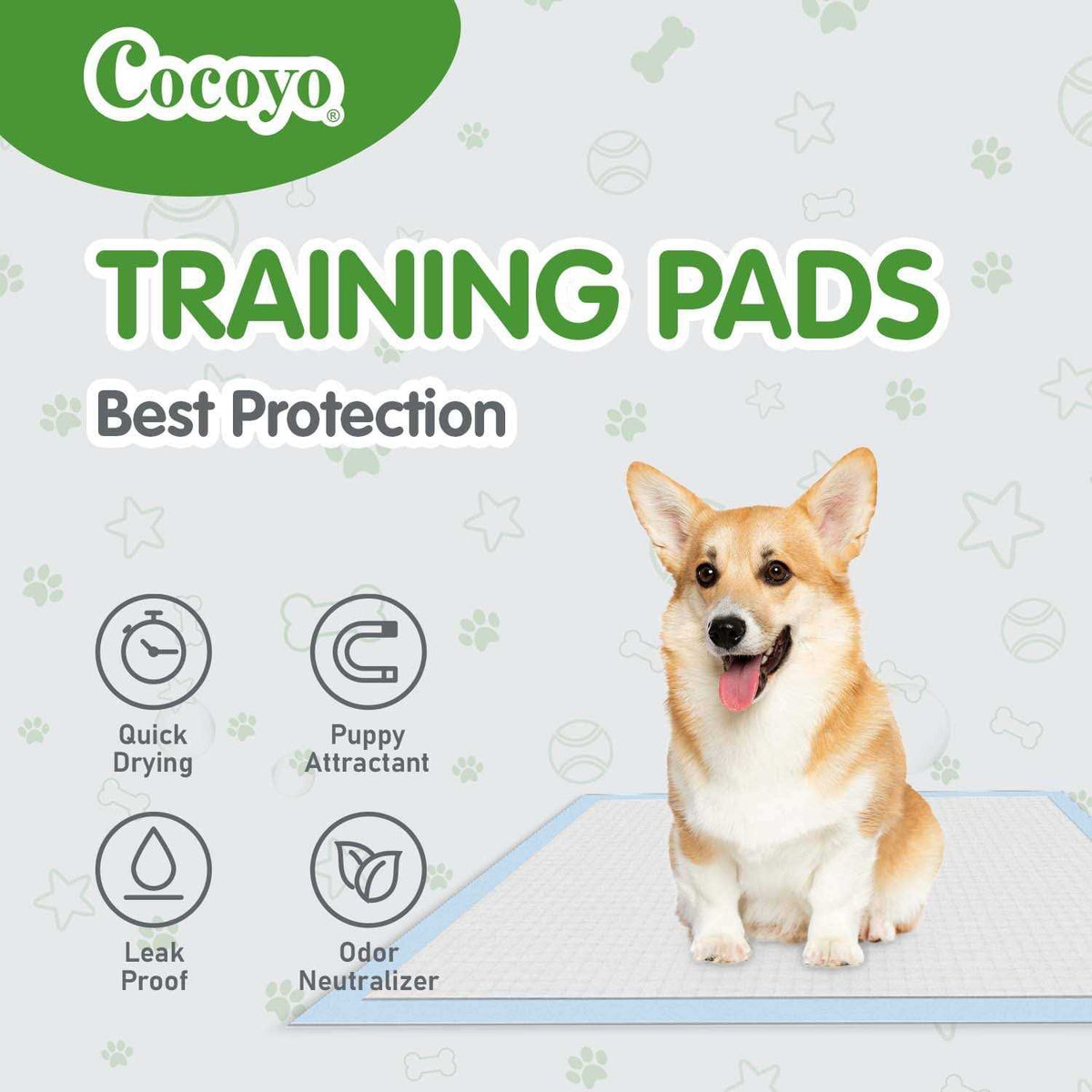 Training Pads Y386915