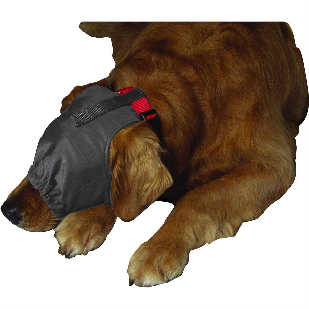 Calming Cap O8337