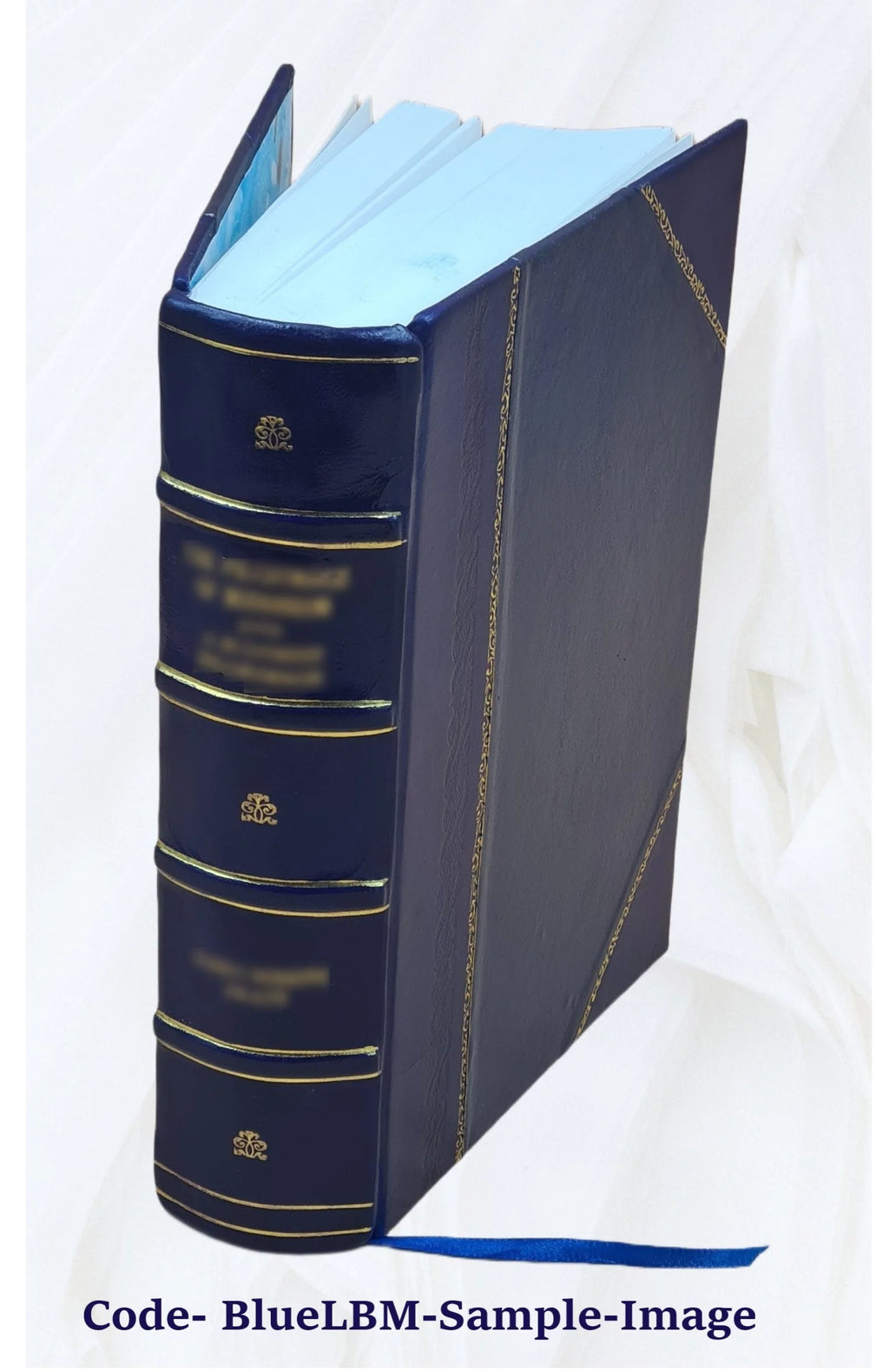 Leather Bound Book N75536