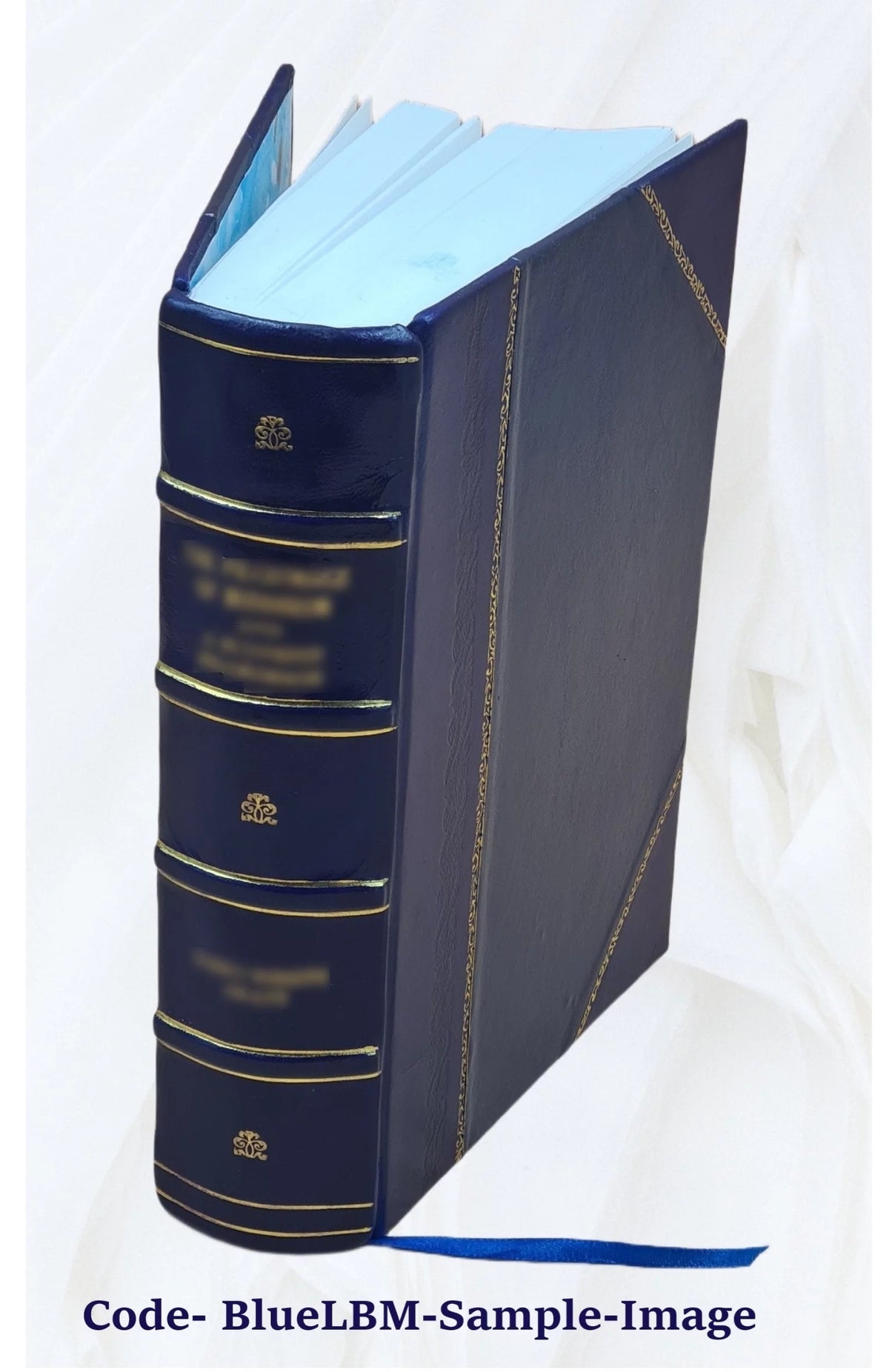 Leather Bound Book N75536