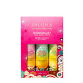 Hair Perfume & Body Spray Trial Set, 3 Scents, Mini Bottles H486