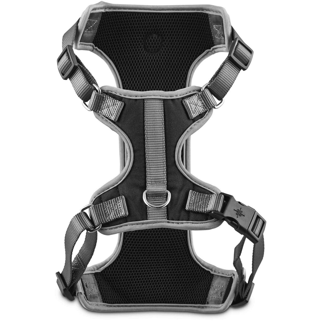 Black Dog Harness A1289