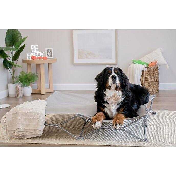 Portable Pet Bed H263707
