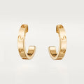 Earrings A882524