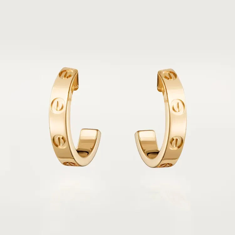 Earrings A882524