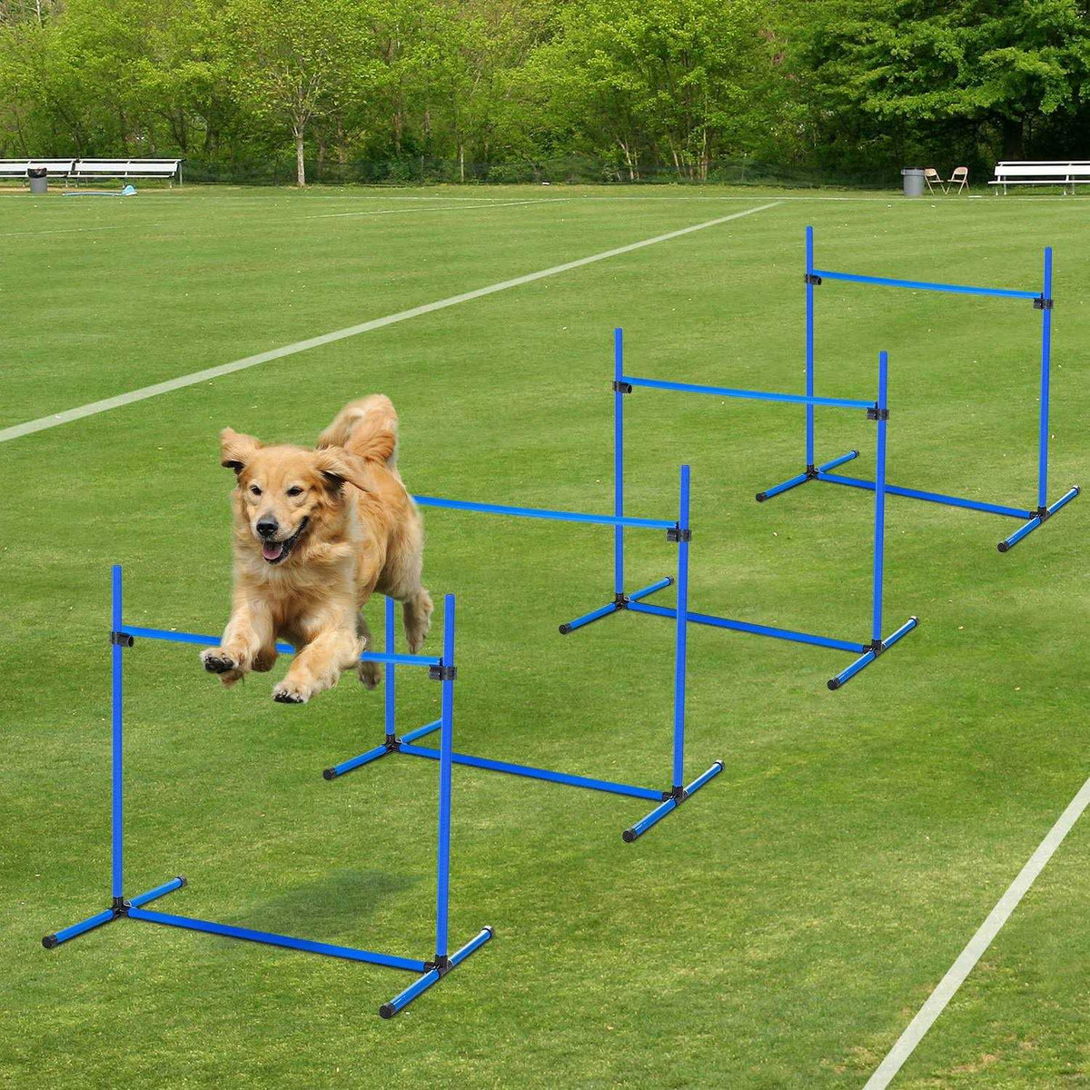 4 Piece Dog Agility Equipment with Adjustable Height Jump Bars S610