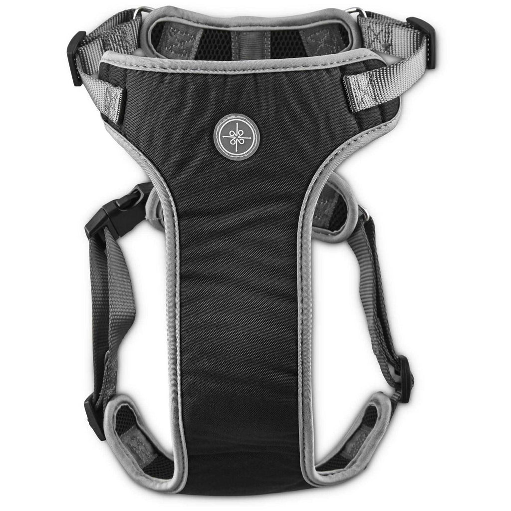 Black Dog Harness A1289