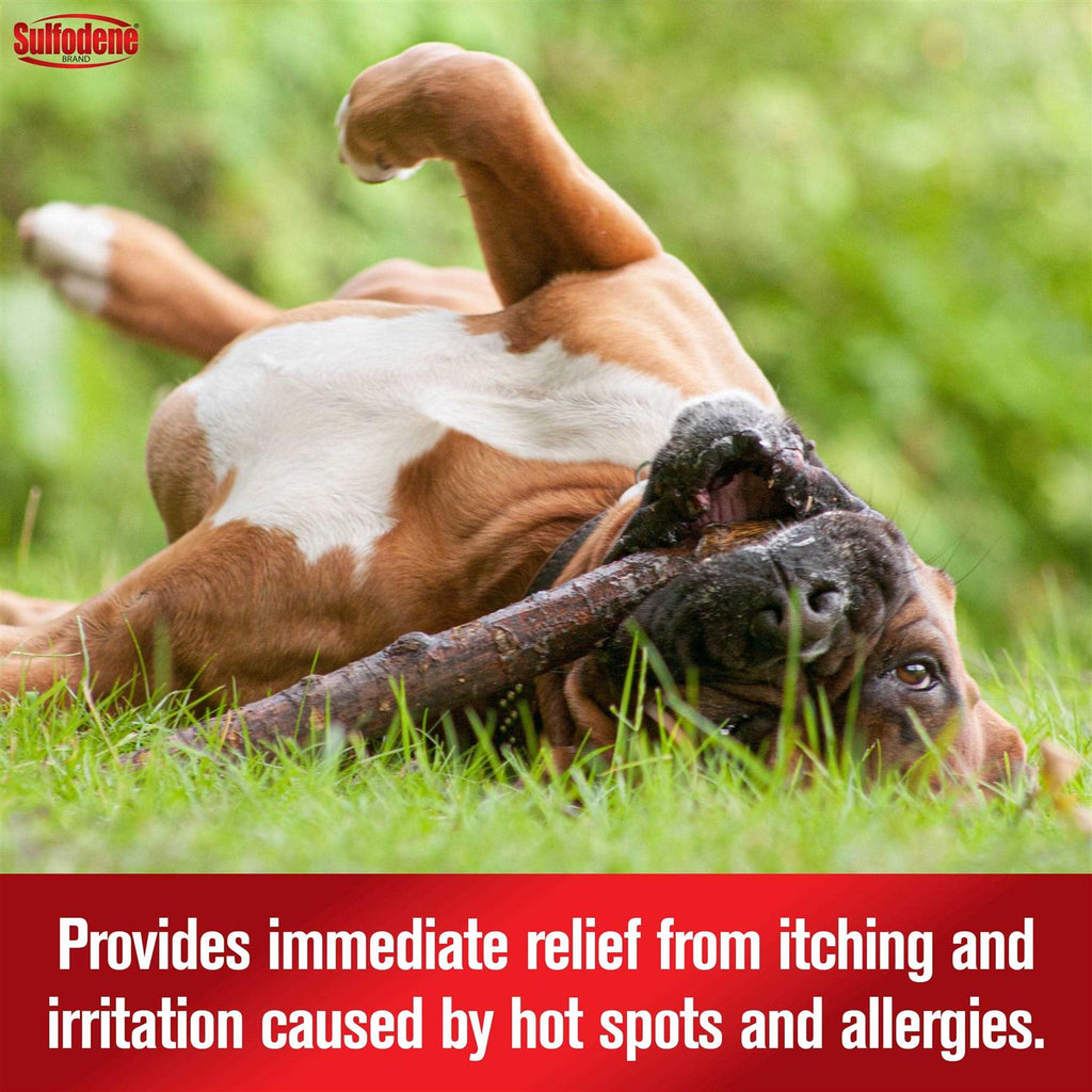 Hot Spot & Itch Relief Medicated Spray Y507492
