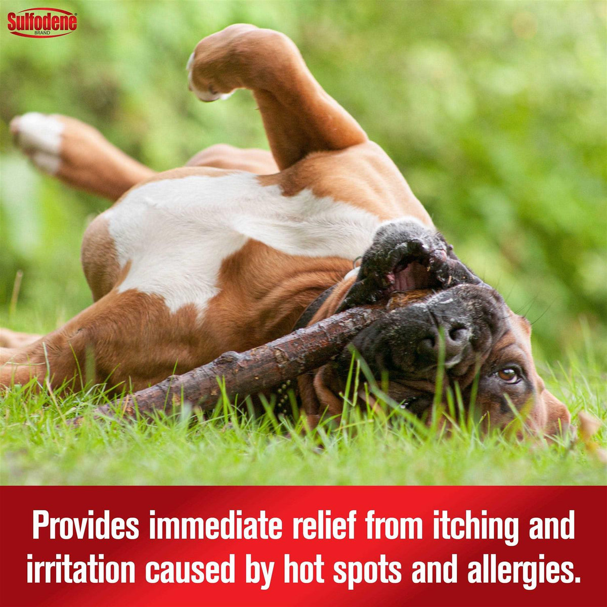Hot Spot & Itch Relief Medicated Spray Y507492