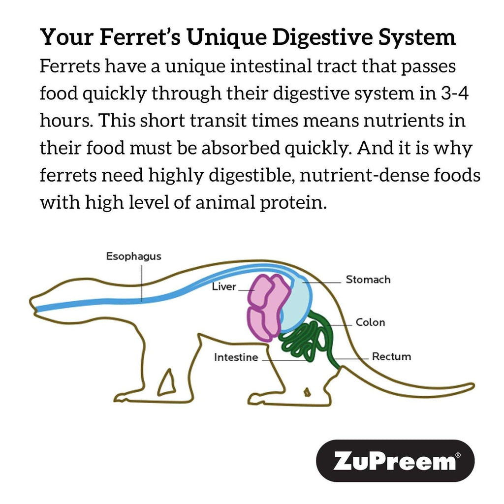 Ferret Diet G545
