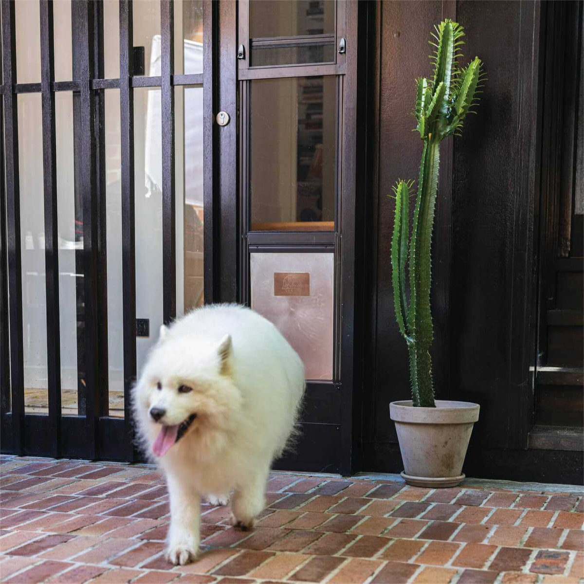 Patio Pet Door Screen Insert Panel A4947