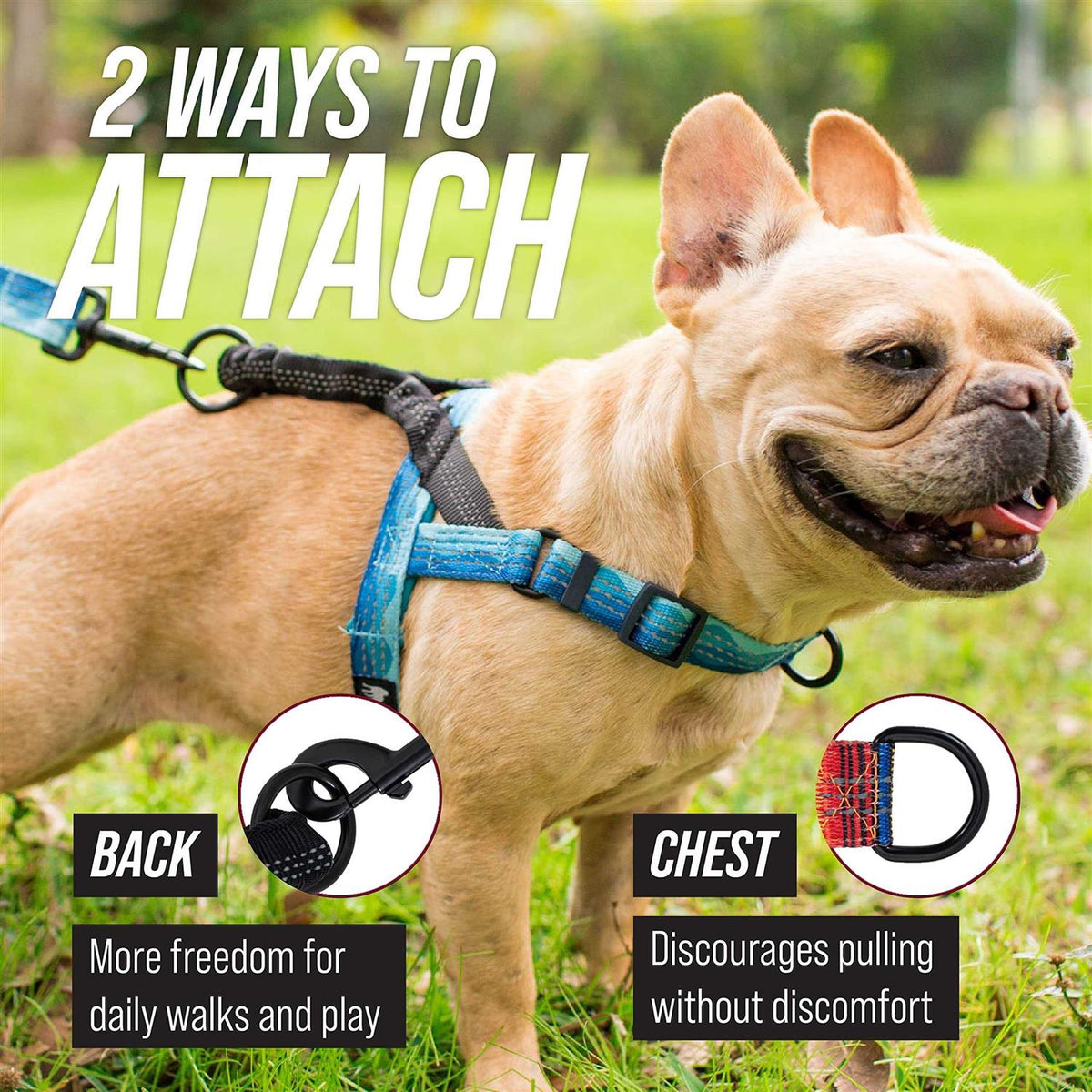 Reflective No Pull Dog Harness with Bungee Handle B3278