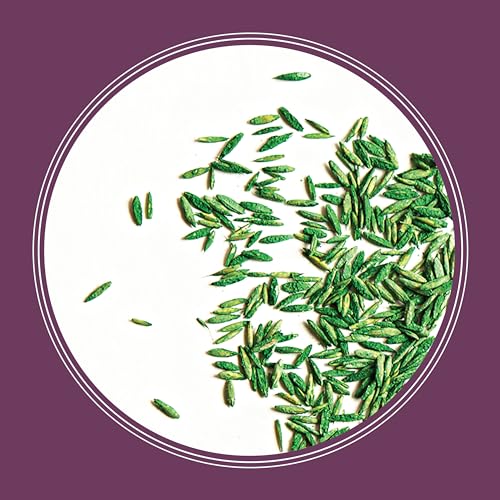 Tall Fescue Grass Seed Mix 7 lb V635