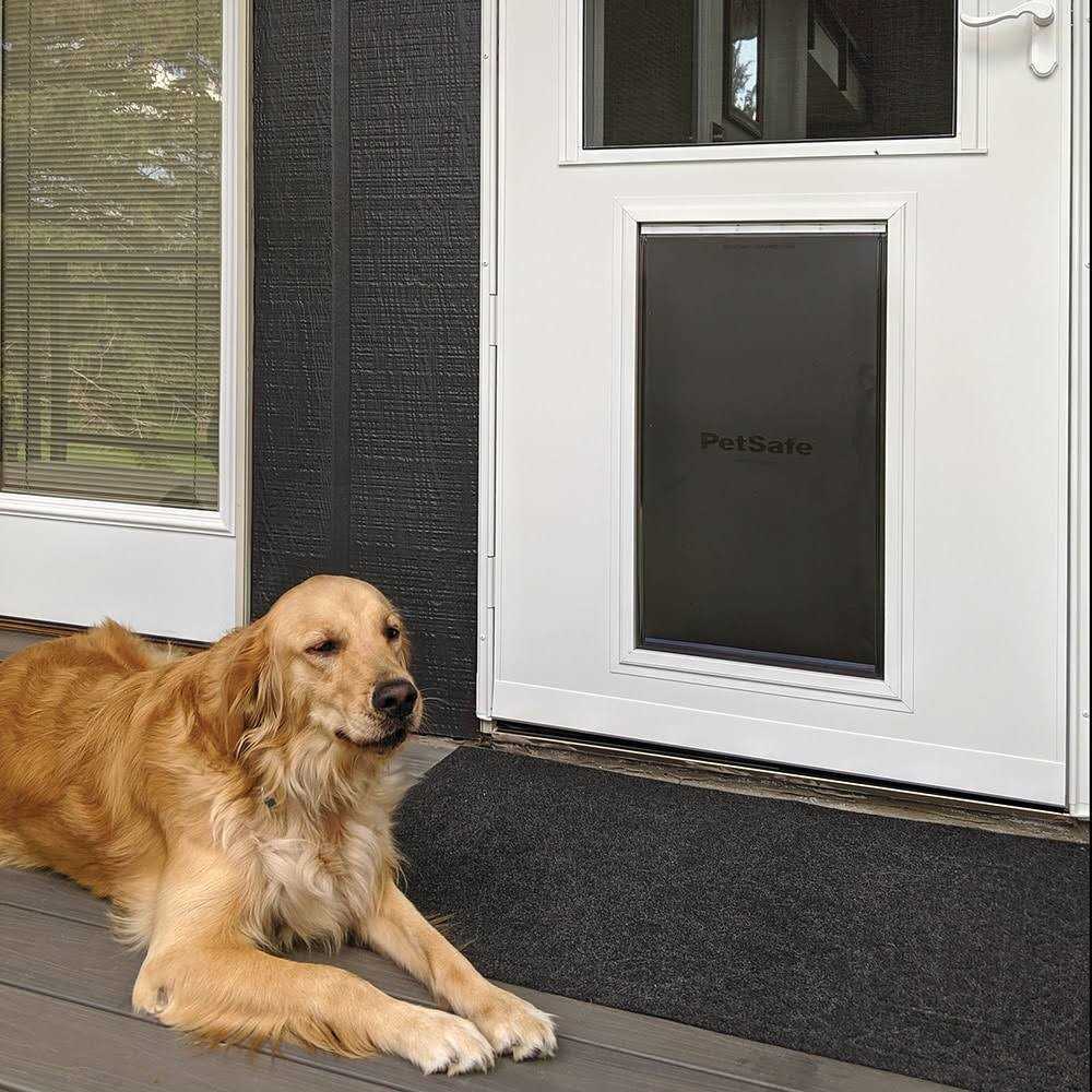 Pet Storm Door S43224