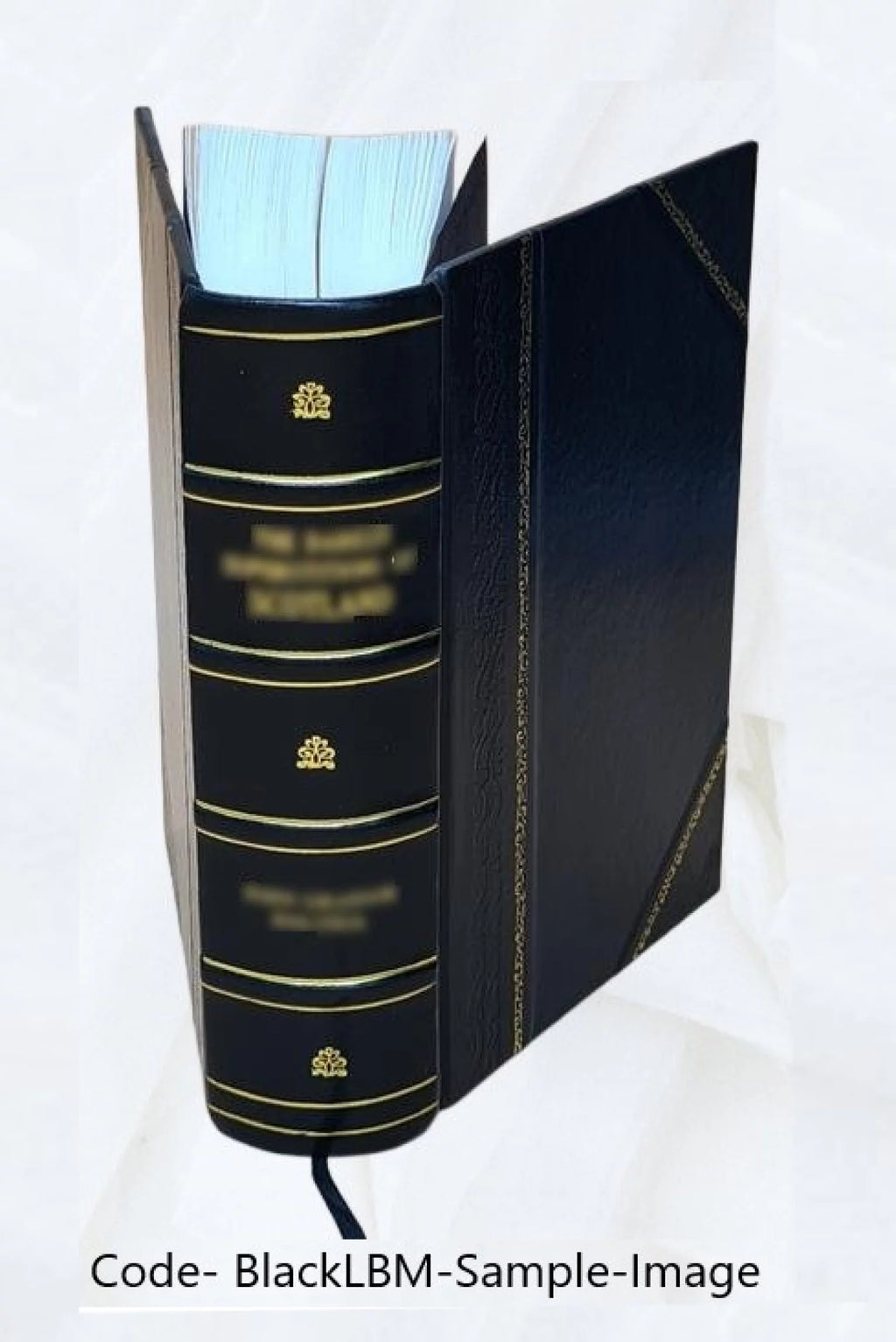 Leather Bound Book N75536