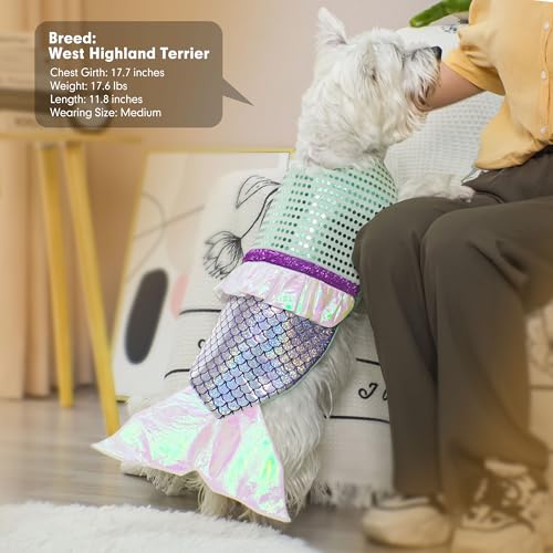 Dog Costumes Size XL E735474