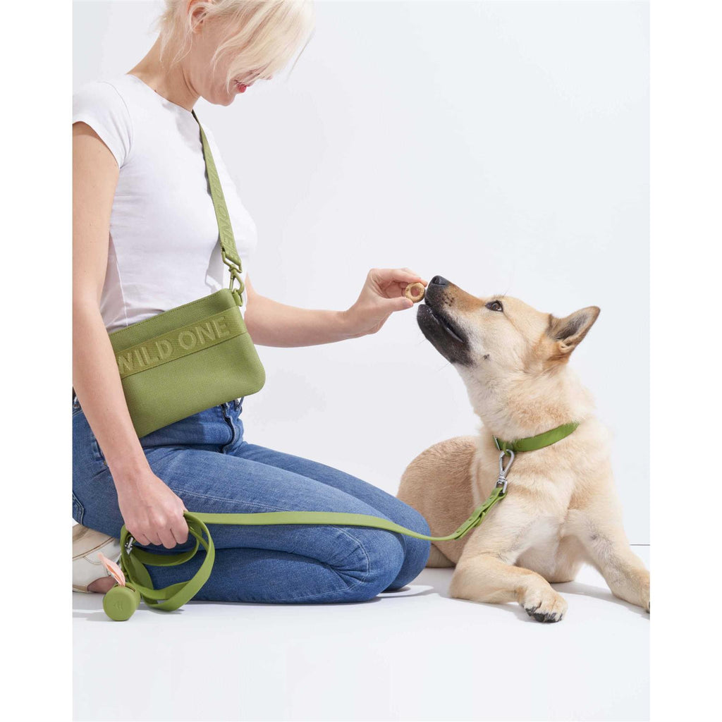 Dog Leash D891