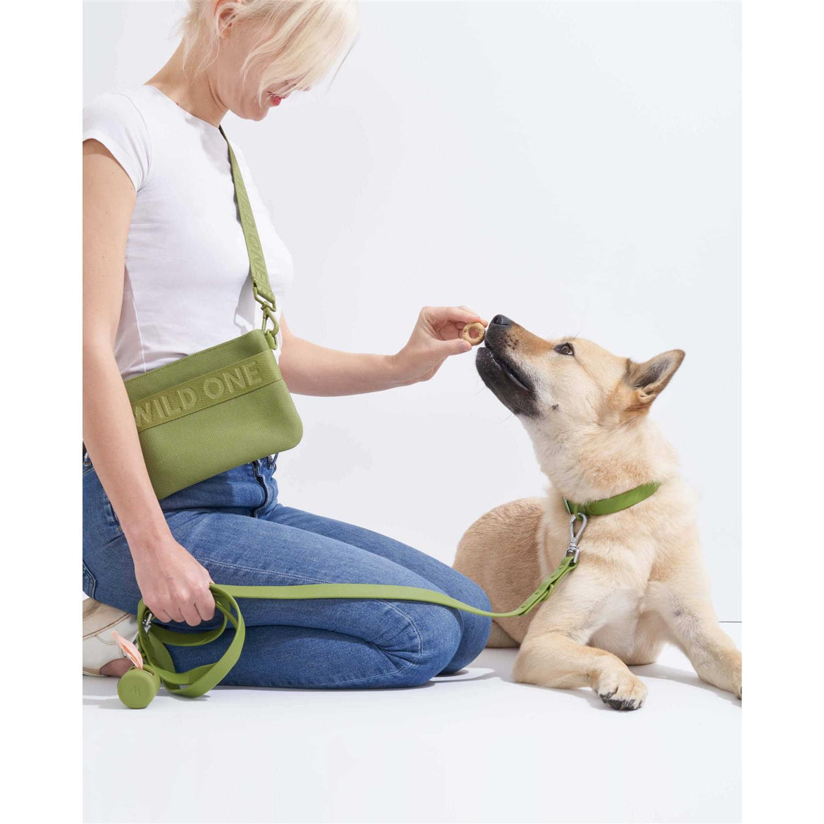 Dog Leash D891