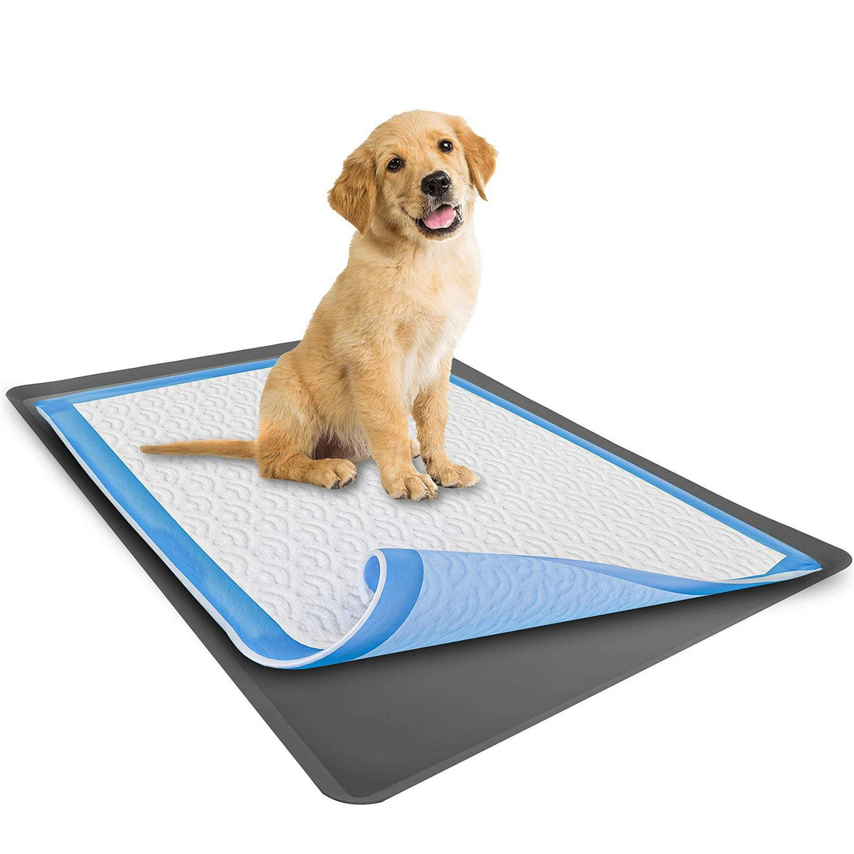 Puppy Pad Holder Tray No Spill U643