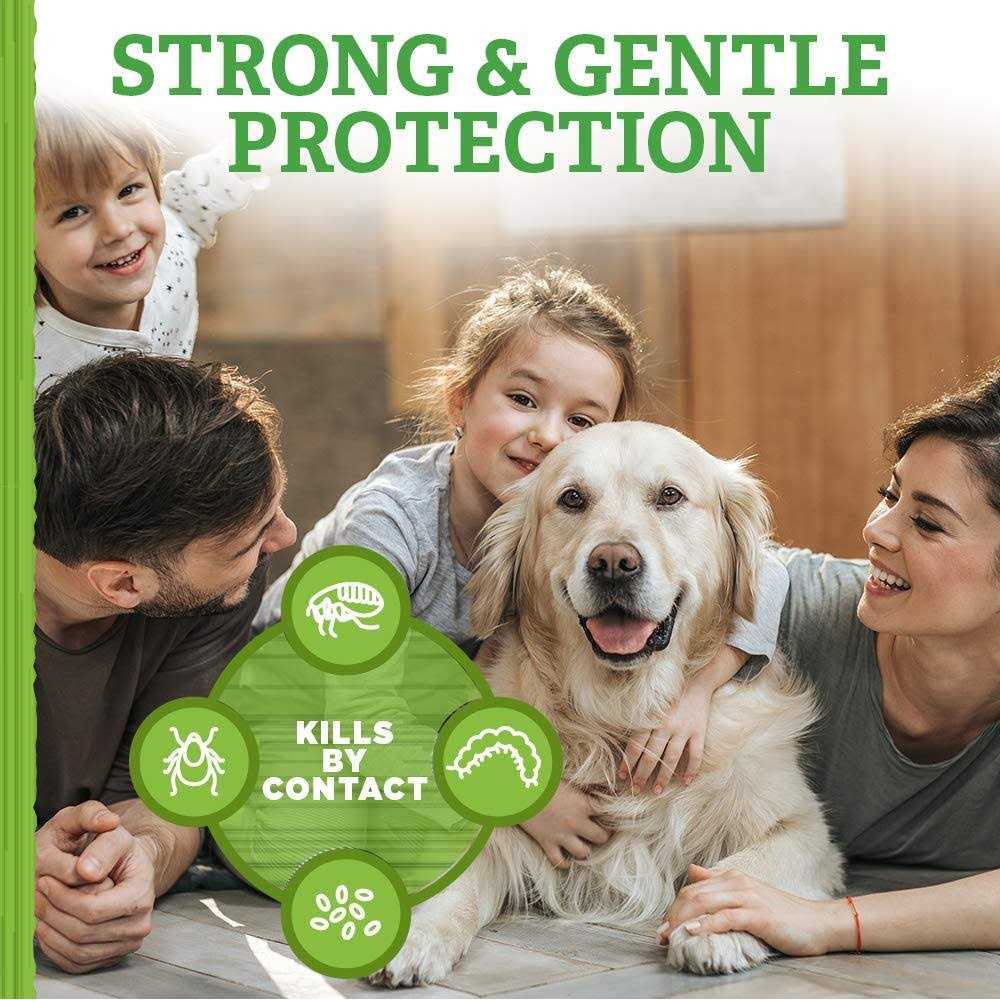 Shampoo Flea Tick U270659