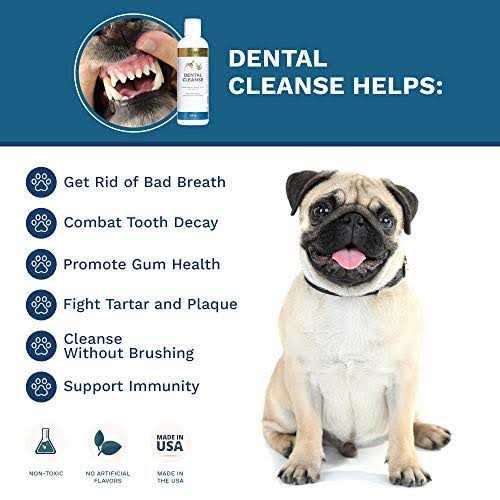 Dental Cleanse for Dogs & Cats Q4166