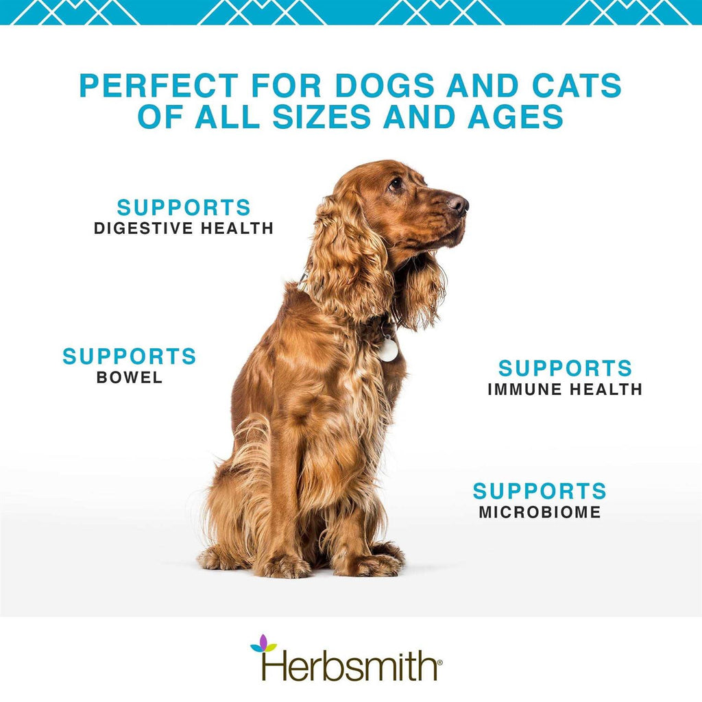 Microflora Plus for Digestion Pet Supplies S323195