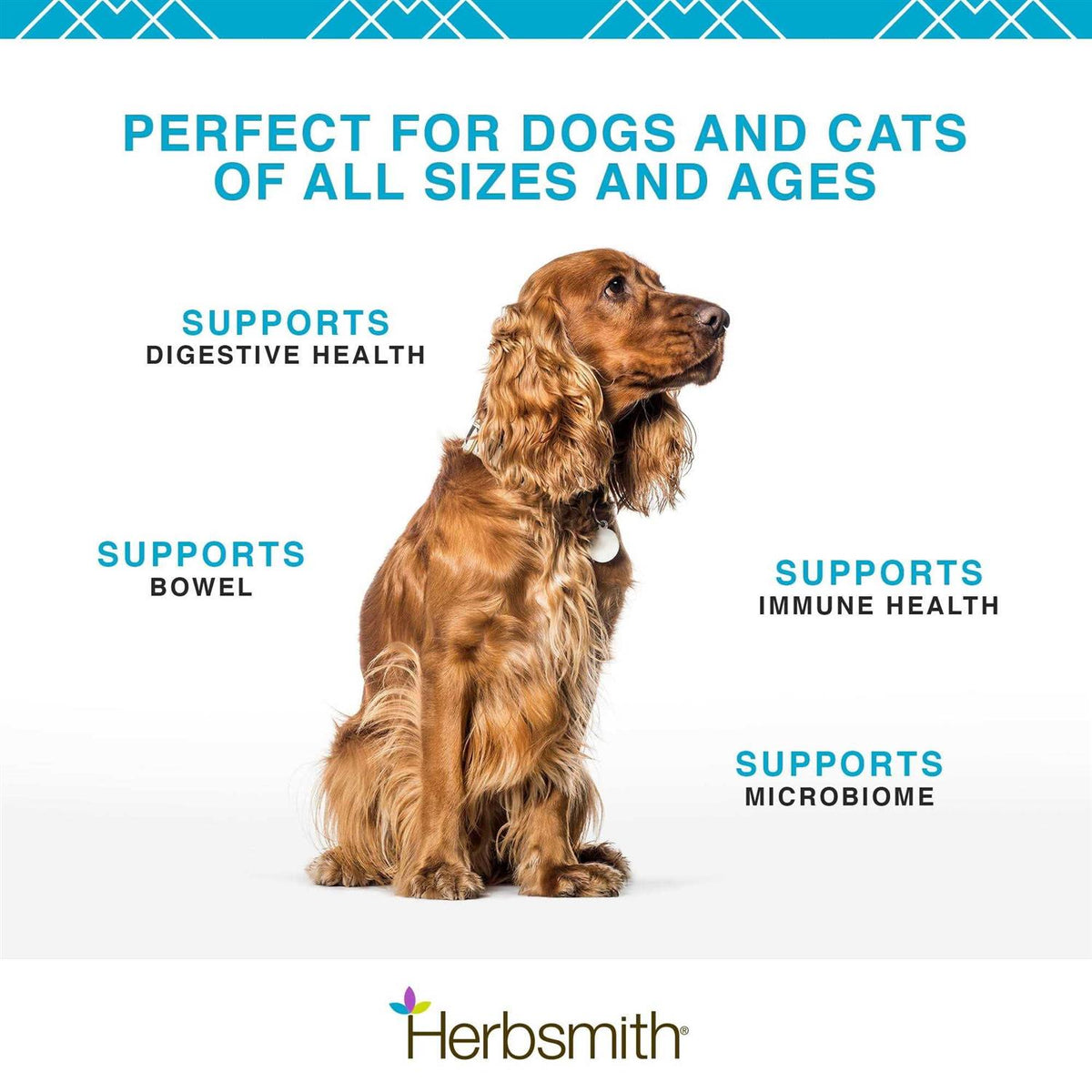 Microflora Plus for Digestion Pet Supplies S323195
