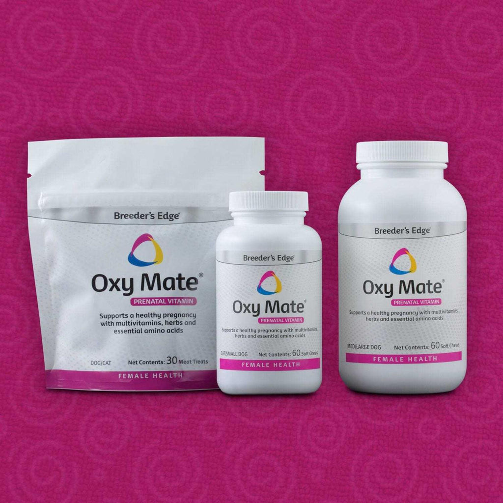 Prenatal Soft Chews Dog N129600