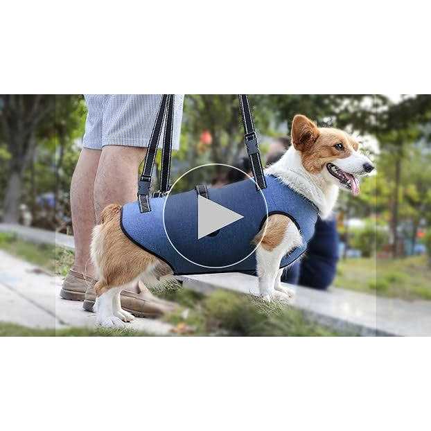 Adjustable Breathable Dog Lift Harness K941