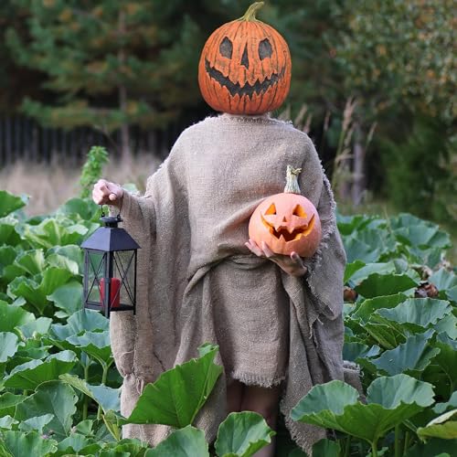 King Pumpkin Full Overhead Costume Mask Adult Z176110