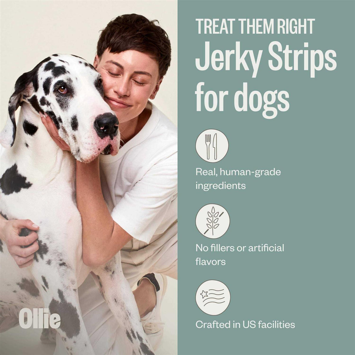 Beef and Sweet Potato Dog Jerky Treats S4952
